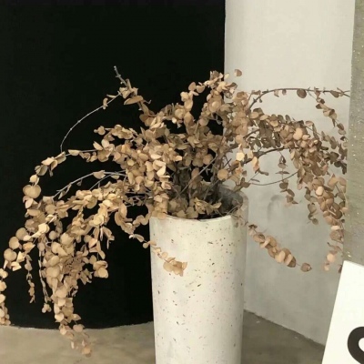 玛曲FurryQQ群介绍